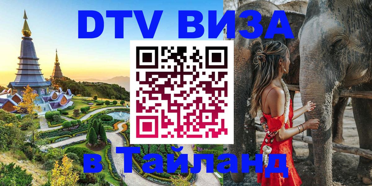 Сколько стоит DTV виза — актуальные цены, оформление даже без документов - 20.11.2025 